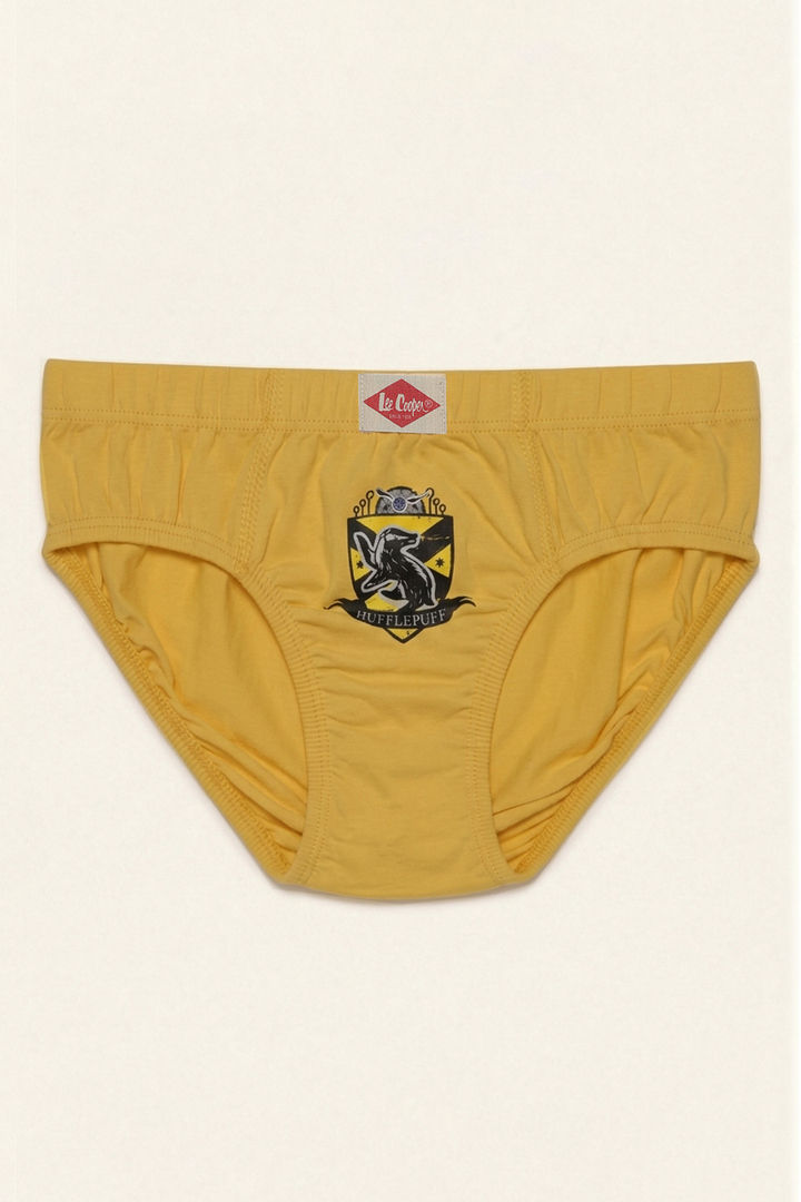 Lee Cooper Boys Harry Potter Briefs (Pack of 3) - Multicolor — image 8